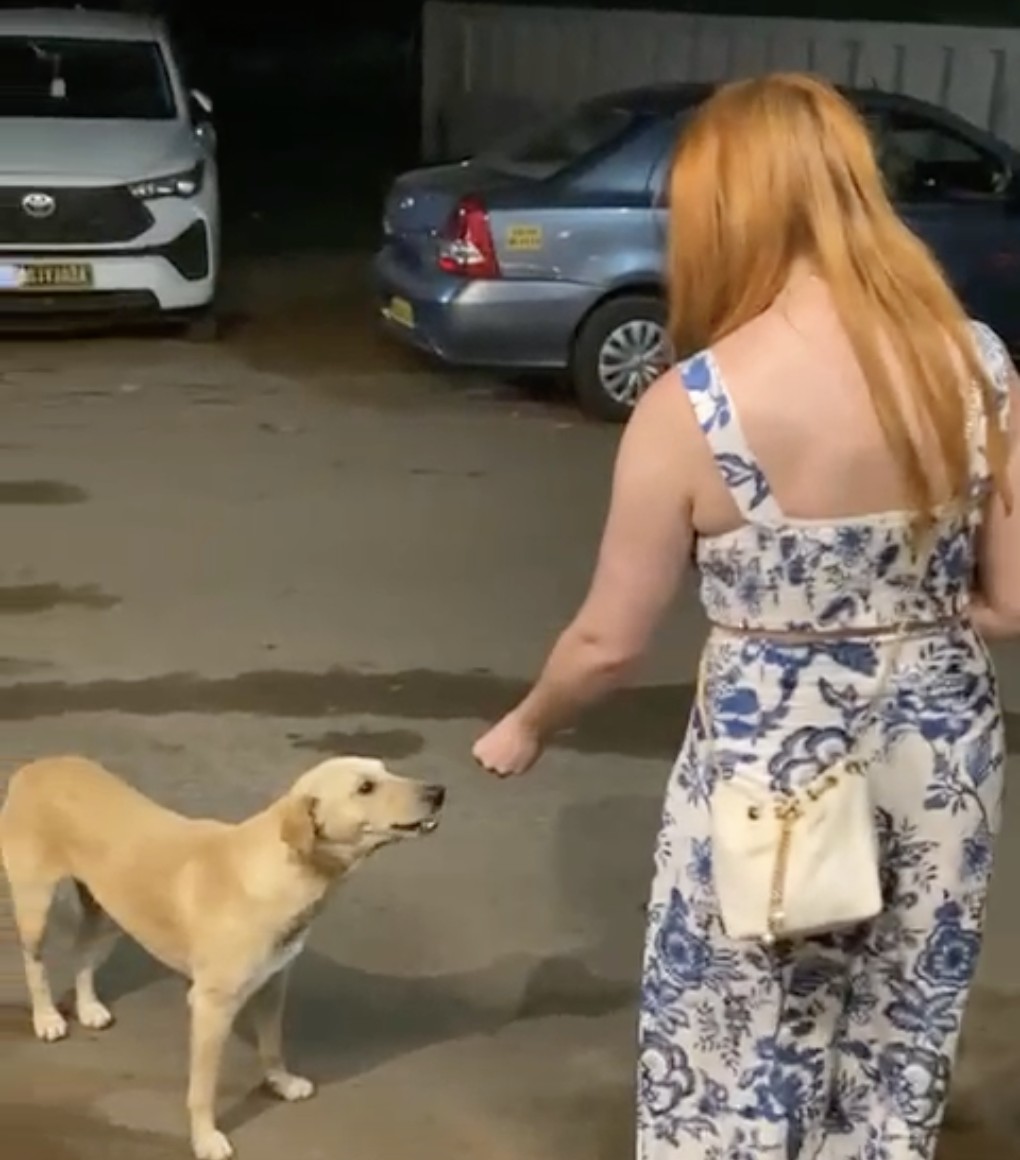 Kay with a street dog in Goa