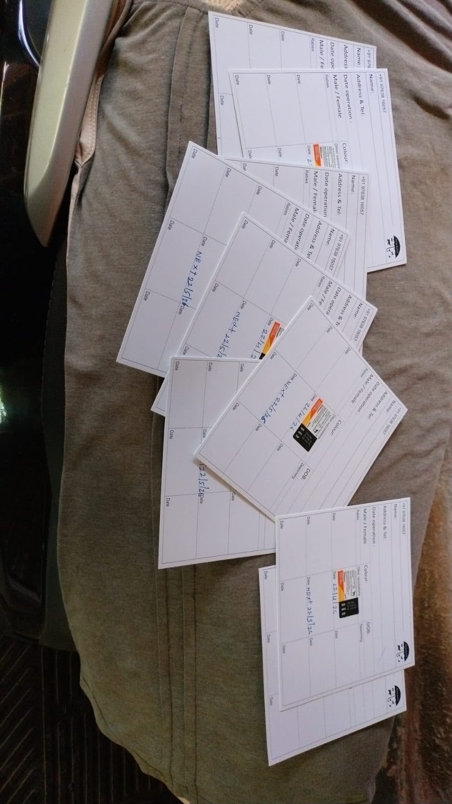 Stack of dog vaccination and care cards laid out on a seat, filled in by hand