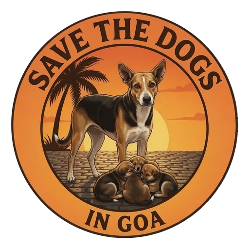 Save the Dogs in Goa