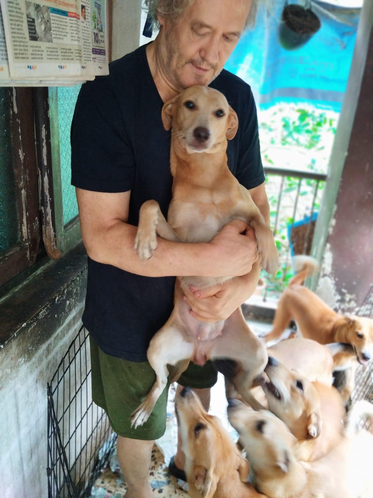 After 2 — same dog after care
