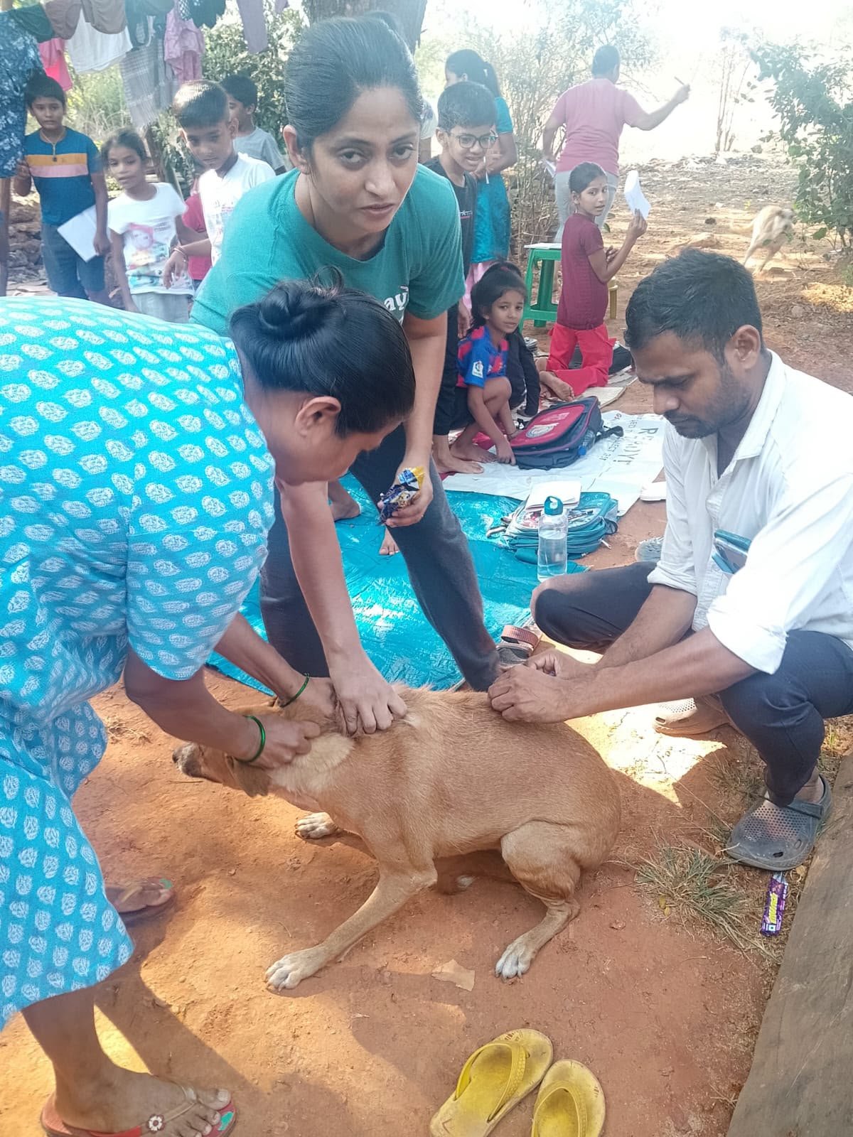 Community medical round — helpers treat a street dog outdoors
