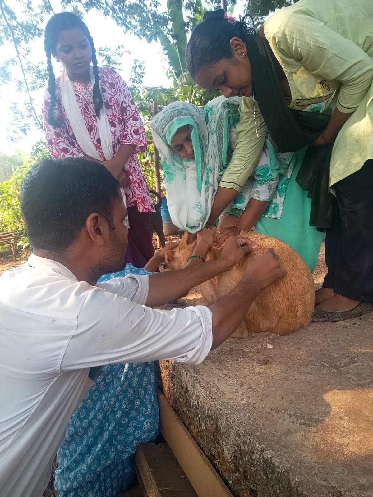 Helpers treating a street dog together outdoors