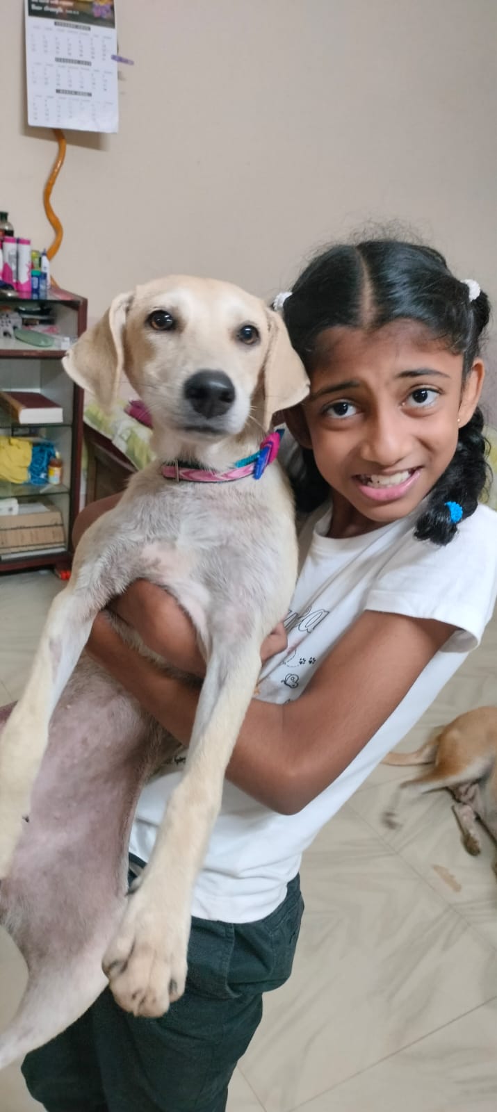 A child holding a rescued street dog with care